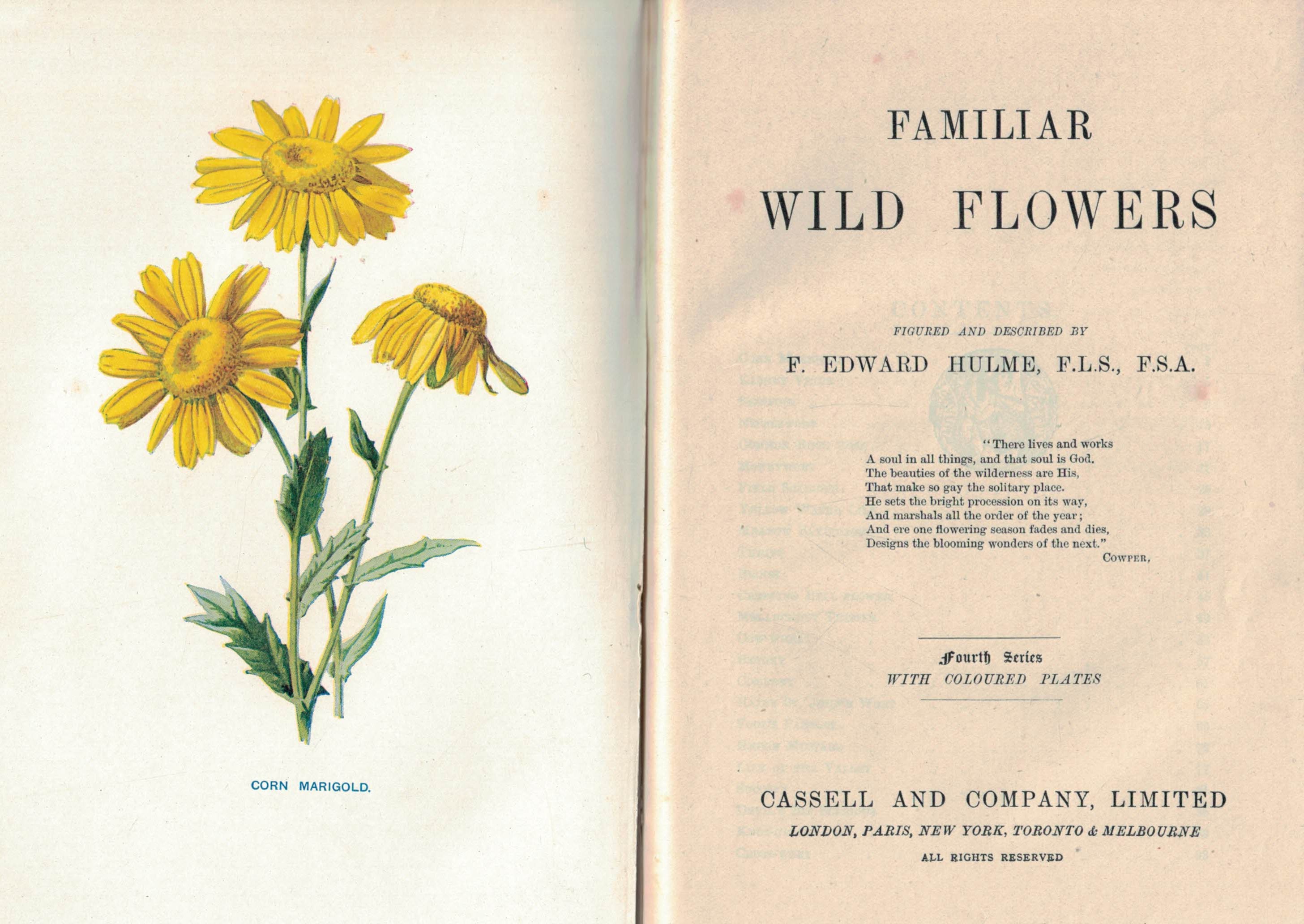 Familiar Wild Flowers - Series 1 to 8 bound in a 4 volume set. 1905.