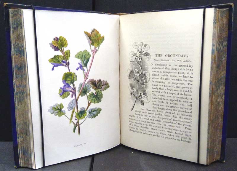 Familiar Wild Flowers - Series 1 to 5 bound in a 3 volume set. 1890.