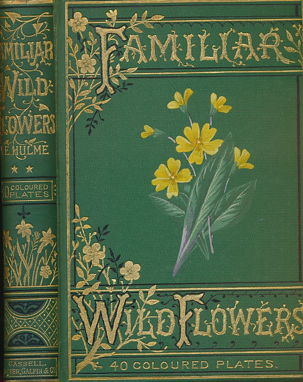 Familiar Wild Flowers. Second Series. 1881.