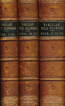 Familiar Wild Flowers - Series 1 to 7 bound in a 3 volume set. 1902.