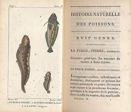Histoire Naturelle Des Poissons Avec Les Figures Dessines D'Aprs Nature. Volume II only.