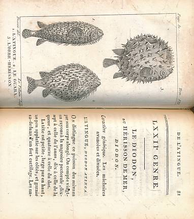 Histoire Naturelle Des Poissons Avec Les Figures Dessines D'Aprs Nature. Volume VIII.