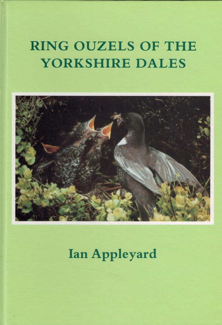 Ring Ouzels of the Yorkshire Dales