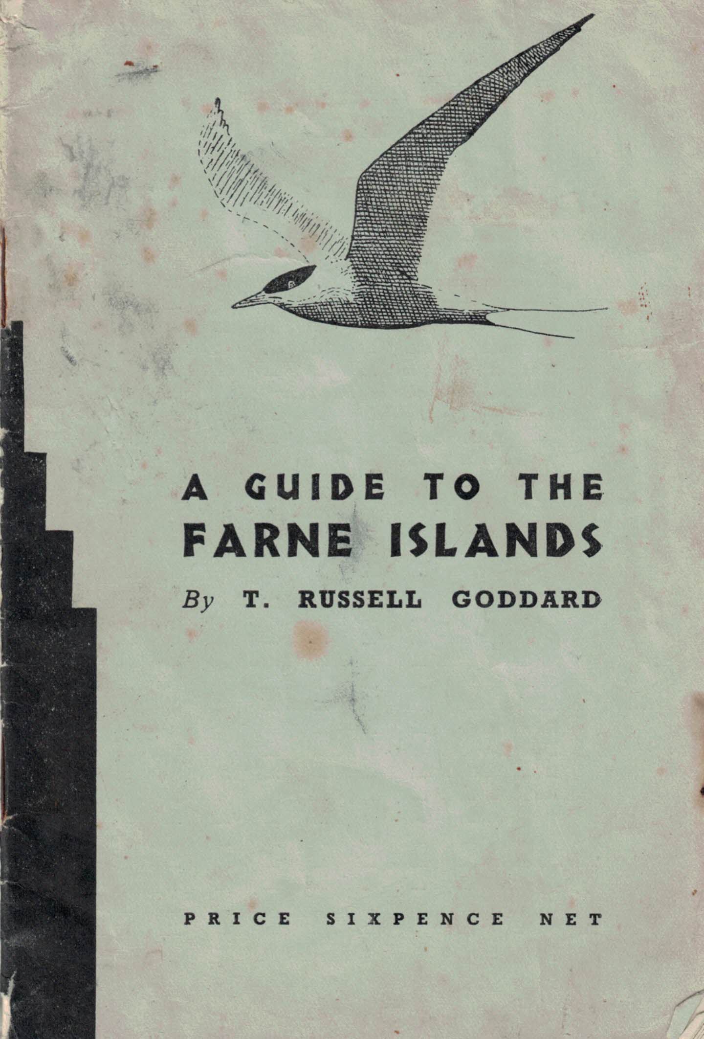 A Guide to the Farne Islands