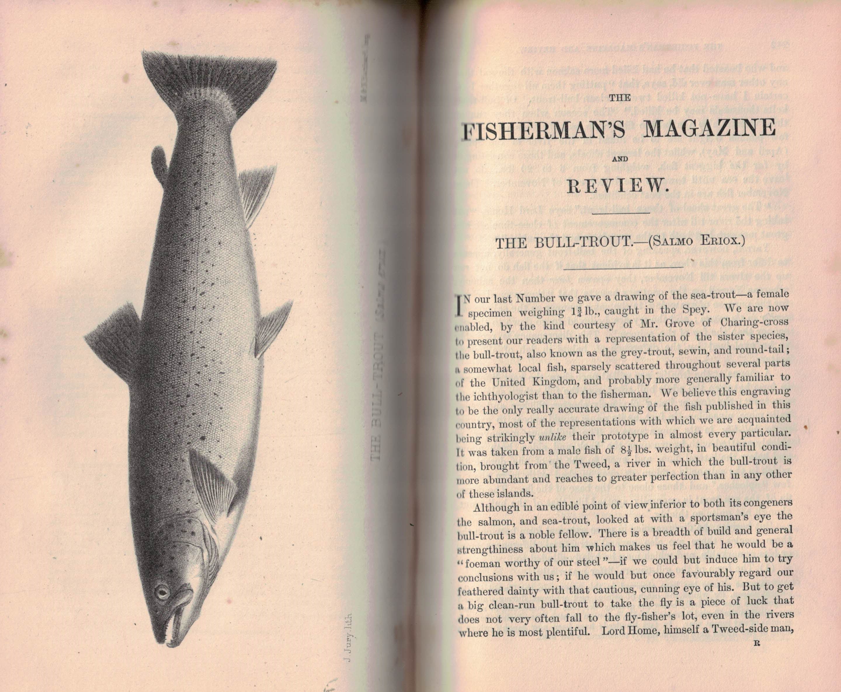 The Fisherman's Magazine and Review. Vol. I. April to December 1864.