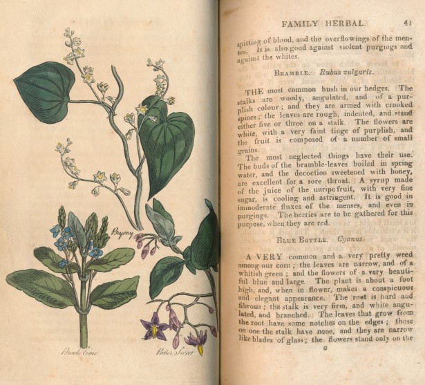 The Family Herbal; or An Account of All Those English Plants which are Remarkable for their Virtues and of the Drugs which are Produced...