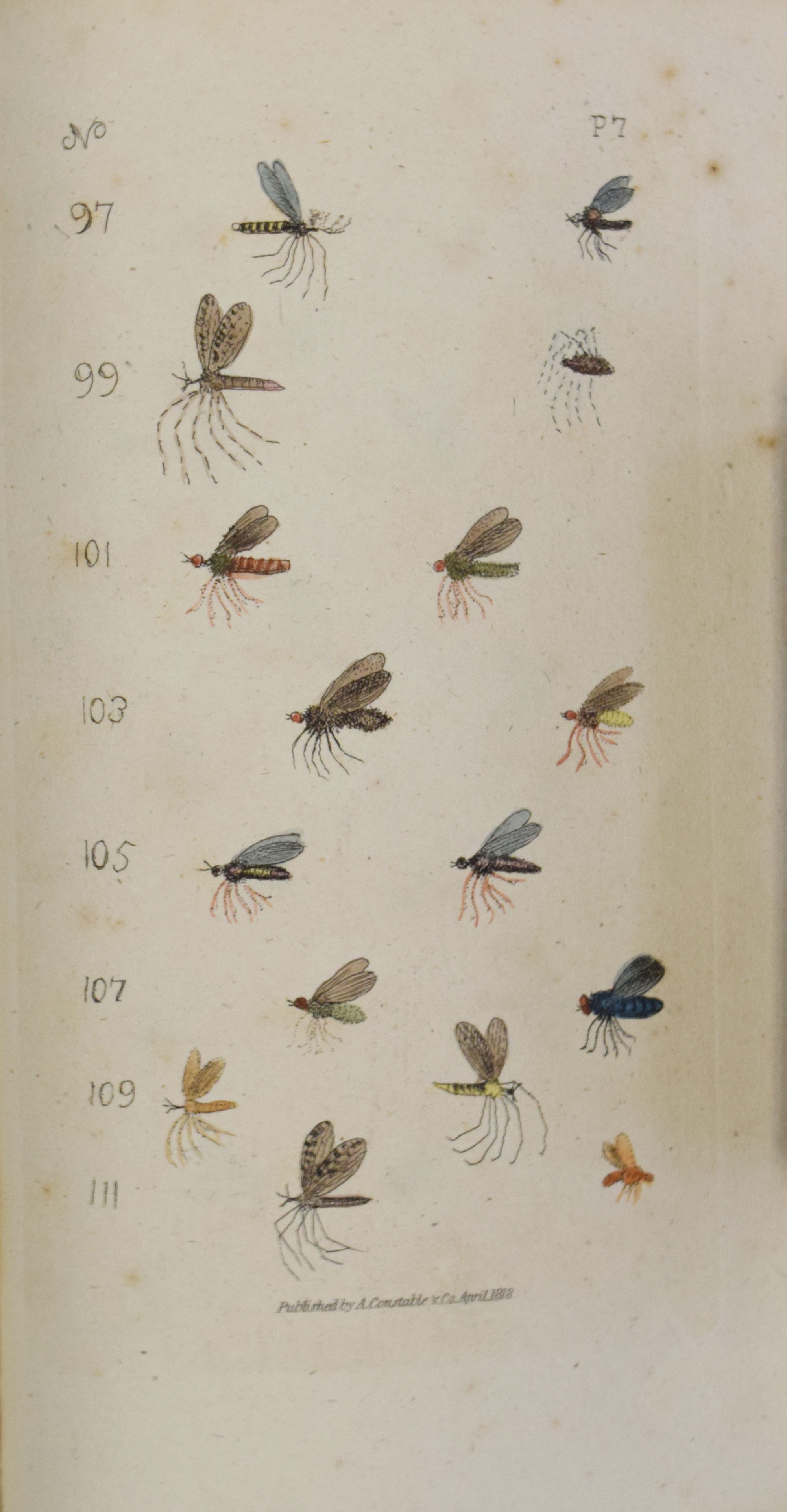 The Angler's Vade Mecum, Containing a Descriptive Account of the Water Flies, Their Seasons, and the Kind of Weather that Brings Them Most on the Water...