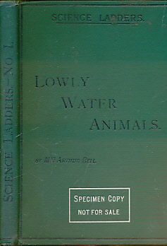 Lowly Water Animals [Science Ladders 1]