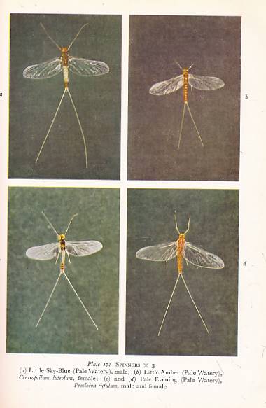 An Angler's Entomology. New Naturalist No. 23.