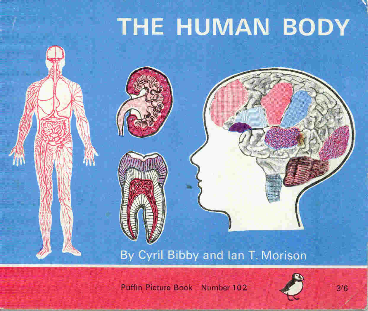 The Human Body. Puffin Picture Book No. 102.