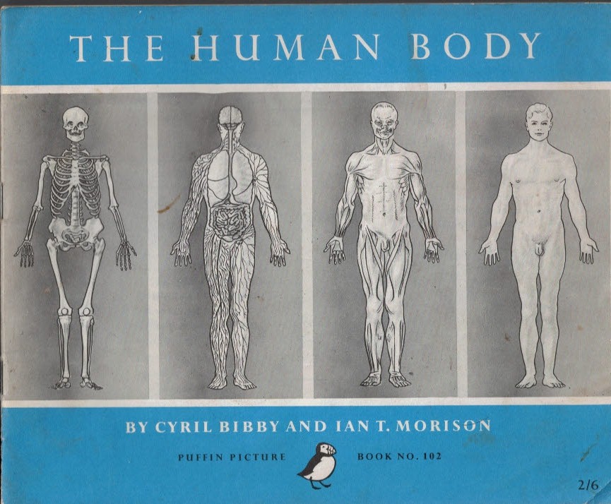 The Human Body. Puffin Picture Book No. 102.