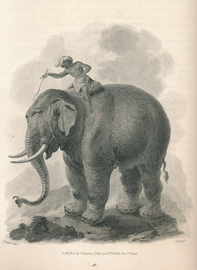 A Cabinet of Quadrupeds with Historical and Scientific Descriptions. 2 volumes