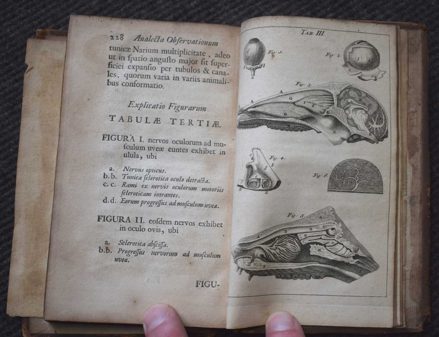 Specimen Historiae Anatomicae Partium Corporis Humani Ad Recventiorum  Mentum Accomodatarae Novisque Observationibus Illustratae