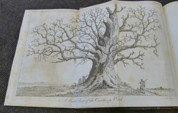 Silva: or A Discourse of Forest - Trees and the Propagation of Timber in His Majesty's Dominions: As it was Delivered in the Royal Society on the 15th Day of October, 1662. 2 volume set.