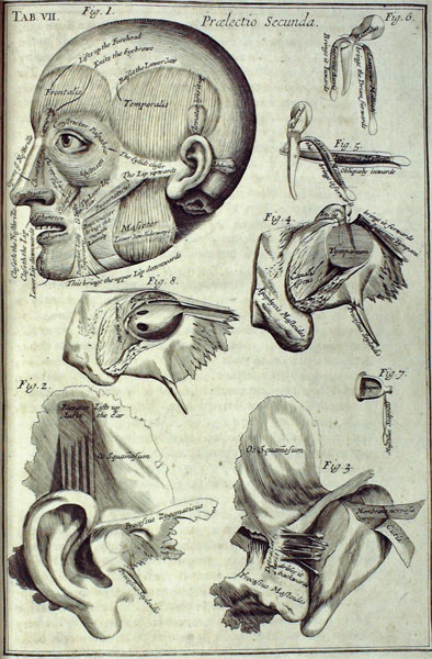 Myographia Nova: or a Graphical  Description of All the Muscles in the Human Body, As They Arise in Dissection: Distributed in Six Lectures.... Together with a Philosophical and Mathematical Account of the Mechanism of Muscular Motion.