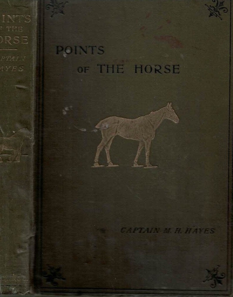 Points of the Horse.  A Familiar Treatise on Equine Conformation.