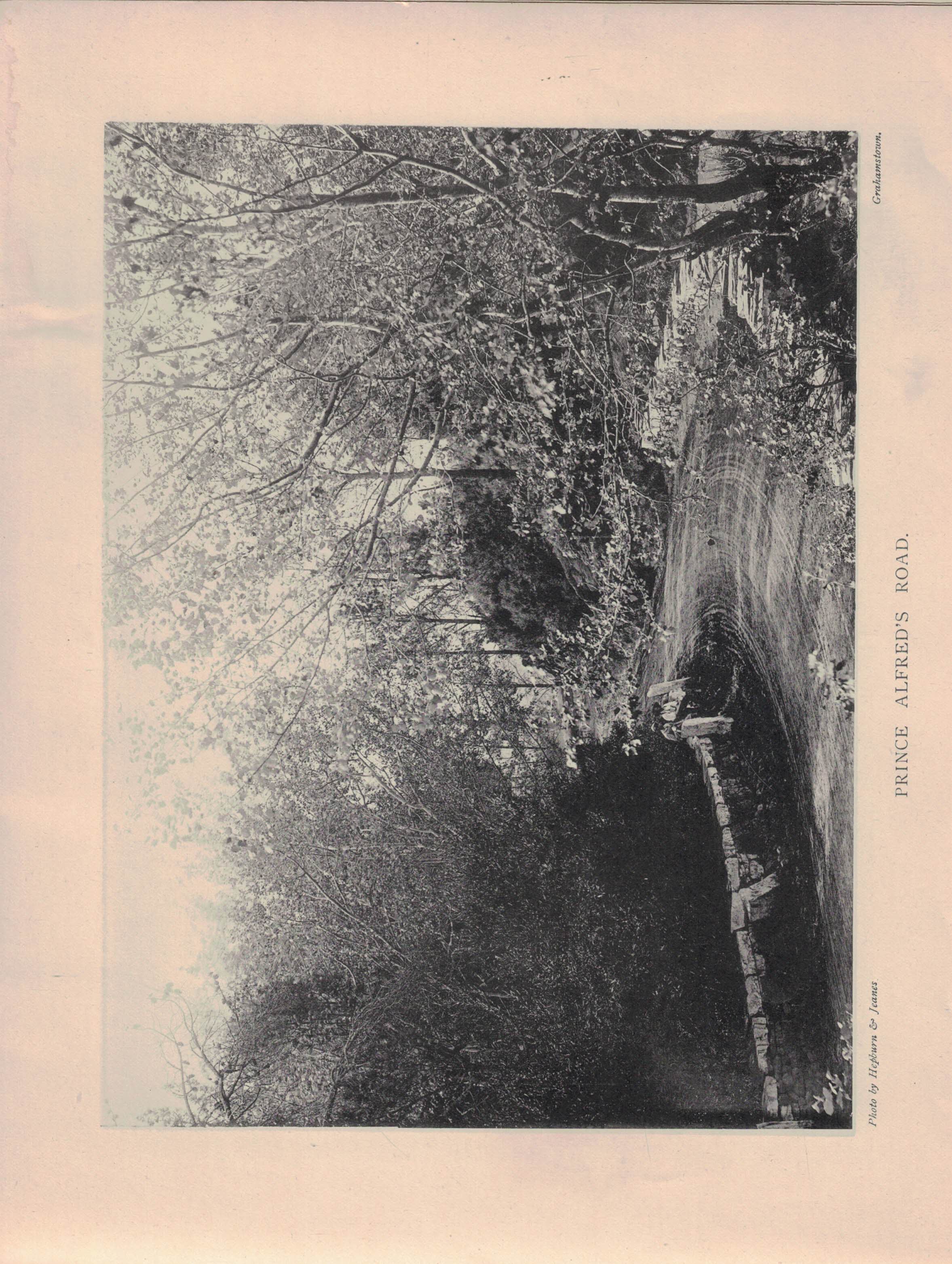 Views of Grahamstown. New Series. 1894.
