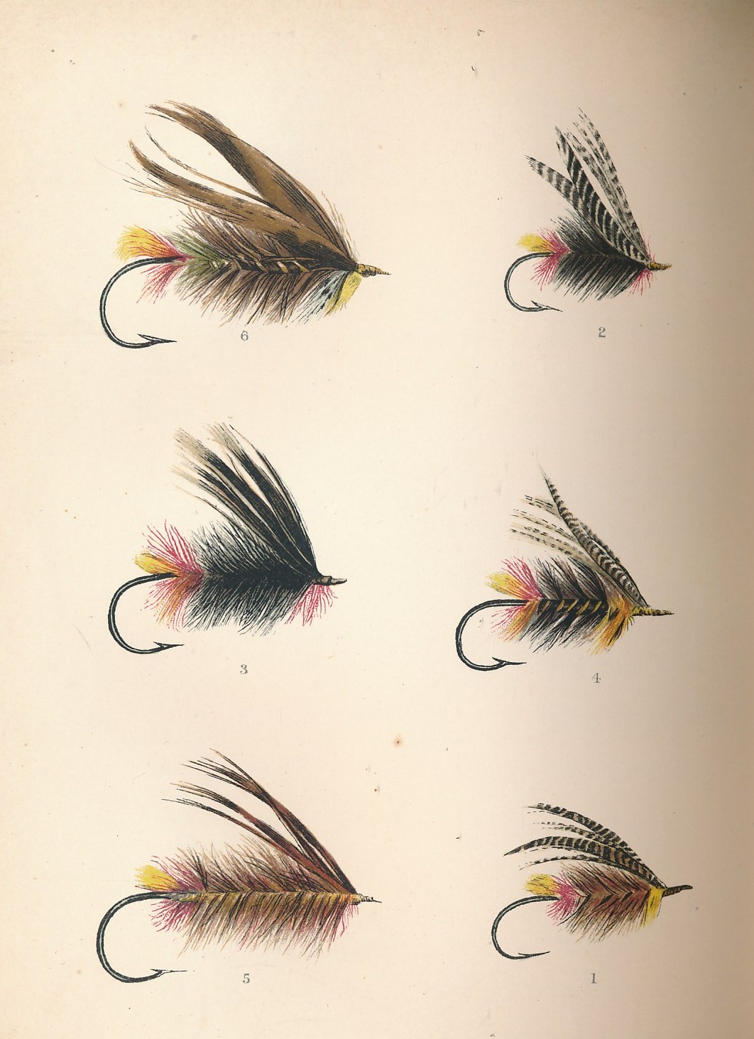 Days and Nights of Salmon Fishing in the Tweed with a short account of the Natural History and Habits of the Salmon, Instructions to Sportsmen, Anecdotes, etc.