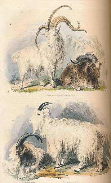 The British Cyclopdia of Natural History. 3 volume set.  [Cyclopaedia; Cyclopedia]