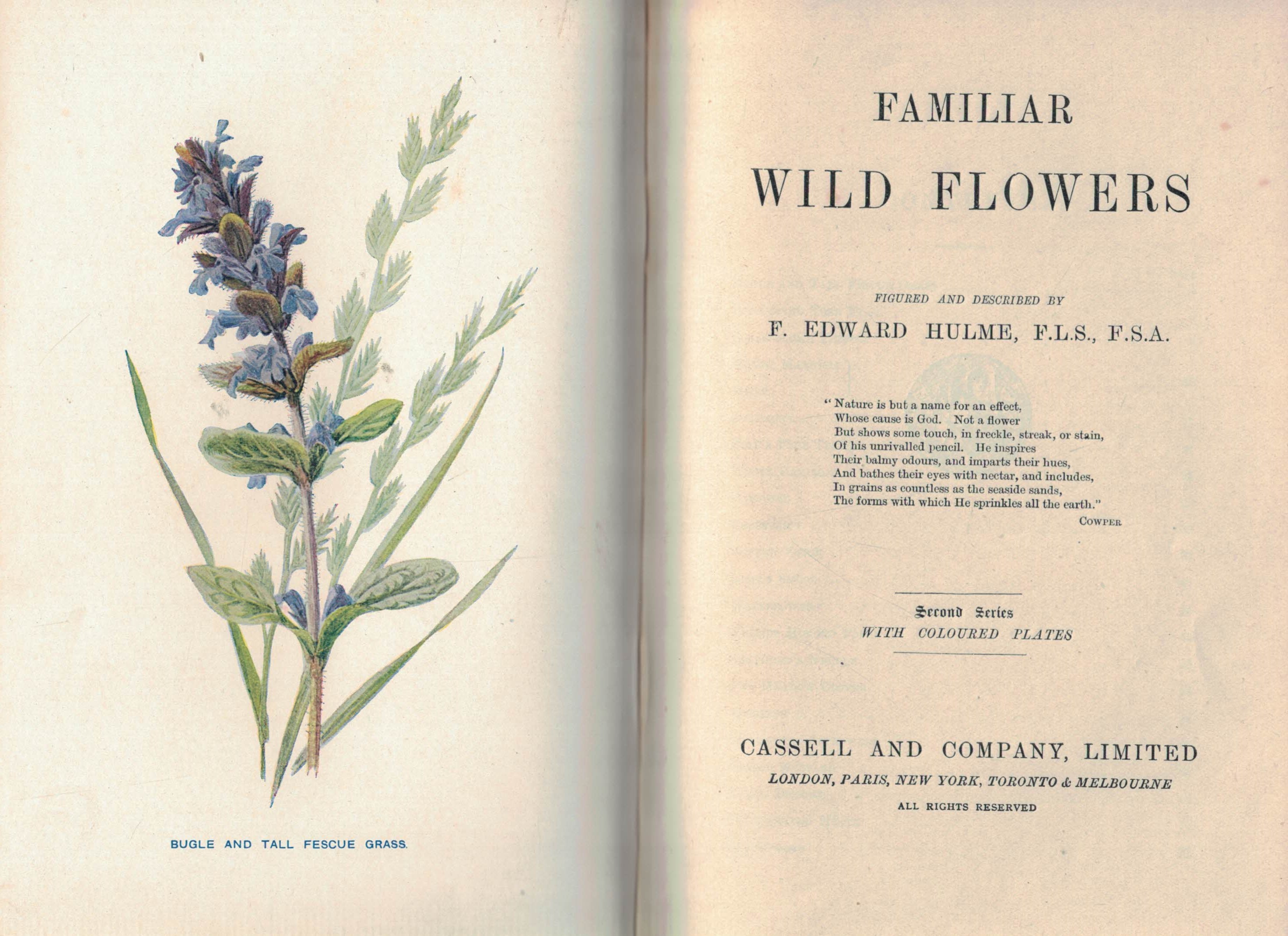 Familiar Wild Flowers - Series 1 to 8 bound in a 4 volume set. 1905.