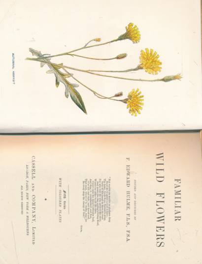 Familiar Wild Flowers. Fifth Series. 1902.