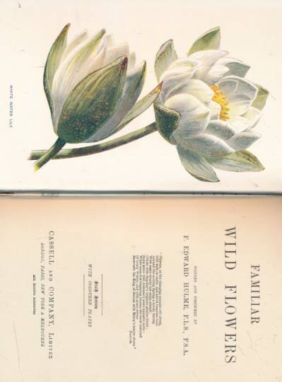 Familiar Wild Flowers. Sixth Series. 1902.