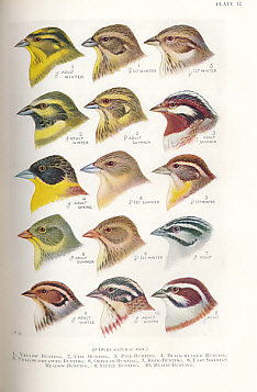The Handbook of British Birds. 5 volume set. 1946.