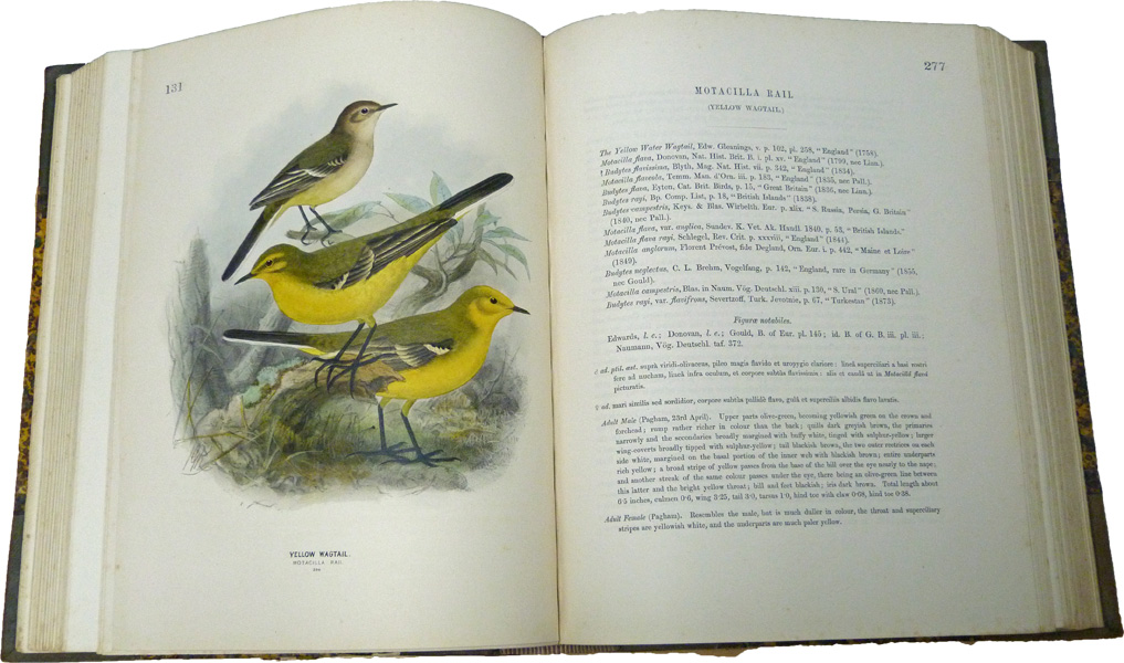 A History of the Birds of Europe. 8 volume set.