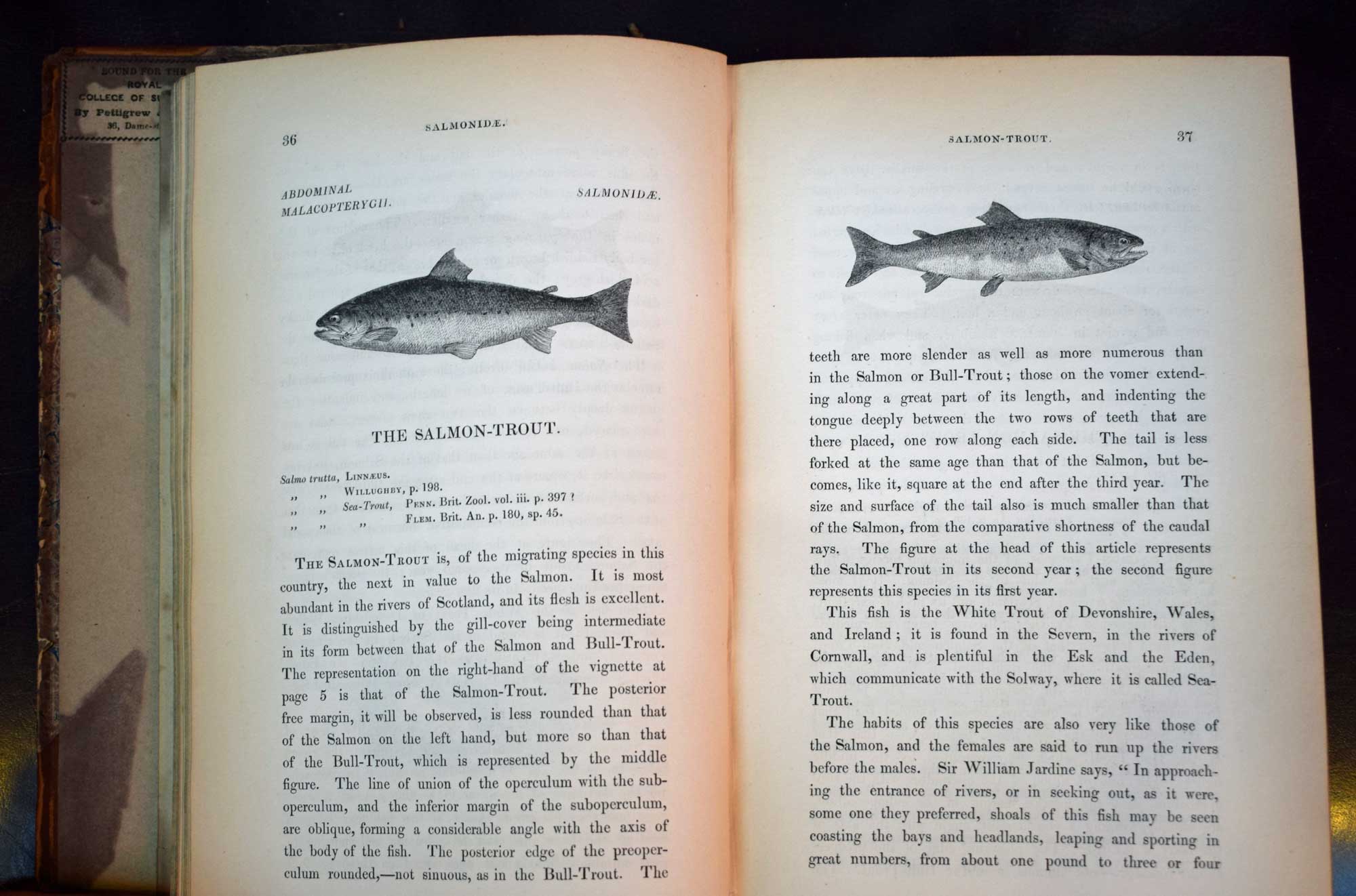 A History of British Fishes. With Supplement for both volumes bound in one volume. 2 volume set.