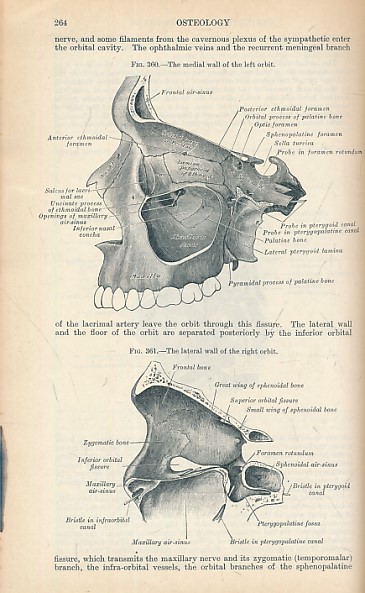 Gray's Anatomy Descriptive and Applied. Twenty-Third [23rd] edition.