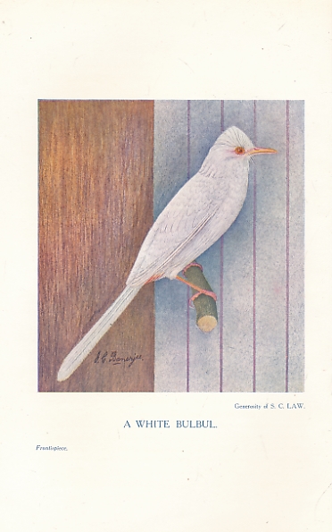 The Avicultural Magazine. Third Series Volume XI. 1920.