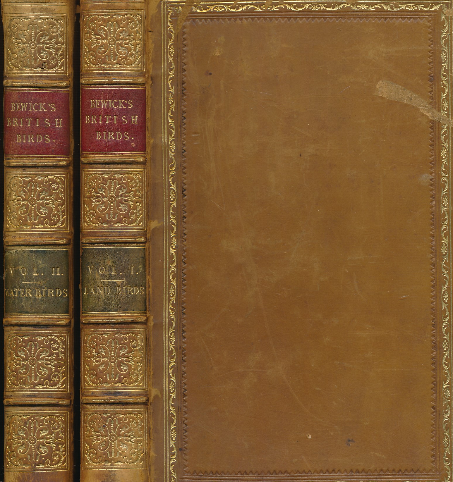 A History of British Birds. 2 volume set. 1847.
