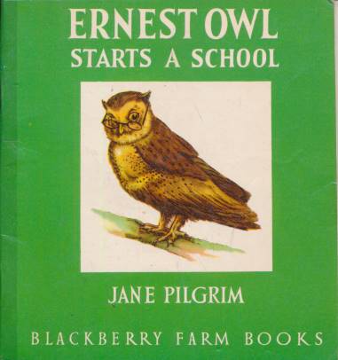 Ernest Owl Starts a School