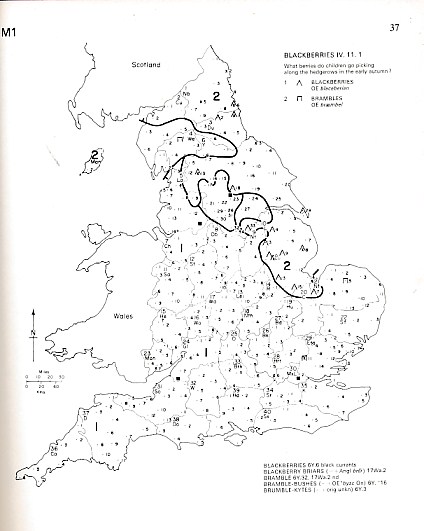 A Word Geography of England