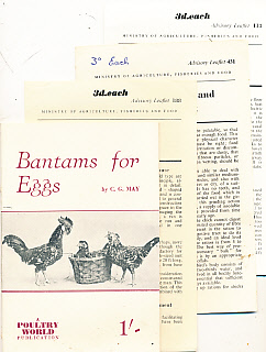 Bantams for Eggs + 3 Leaflets on Chicken Keeping