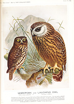 The "Three Castles" Book of New Zealand Birds