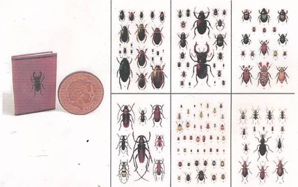 The Young Beetle-Collector's Handbook with miniature copy.