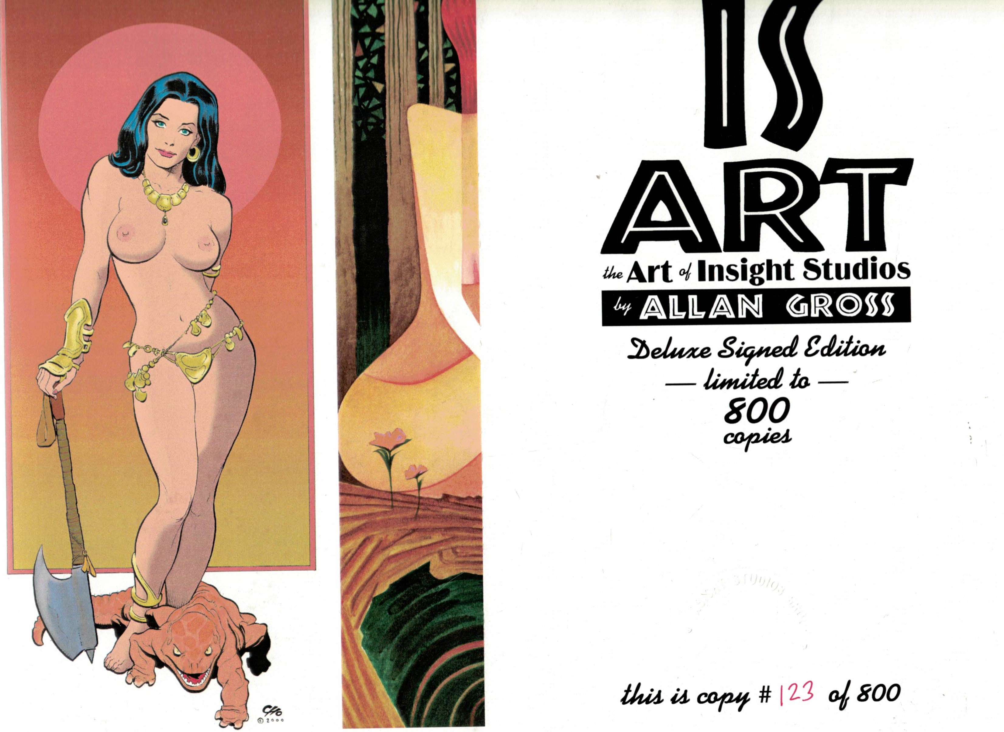 IS Art. The Art of Insight Studios. Deluxe signed edition.