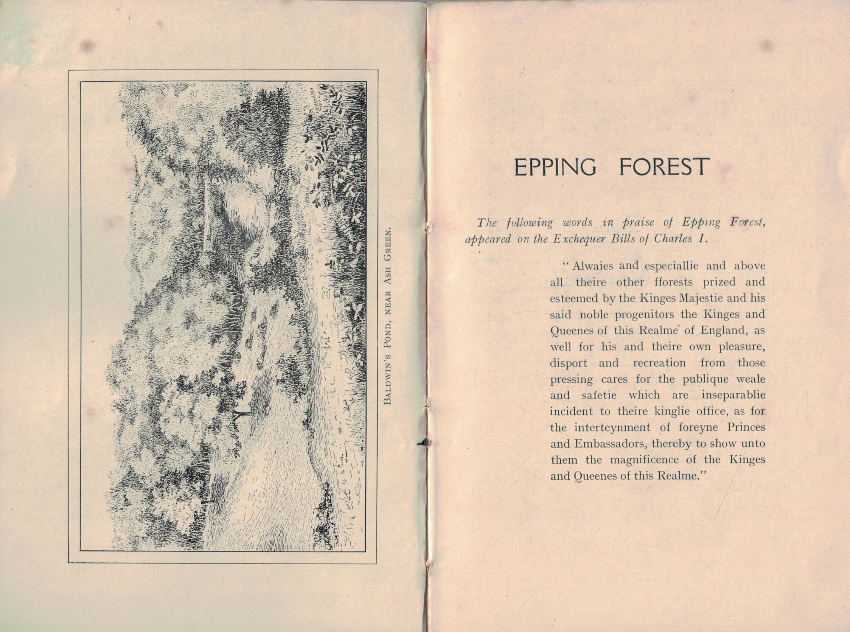 Epping Forest. Containing Notes on the Trees, Birds, and Flowers, etc.