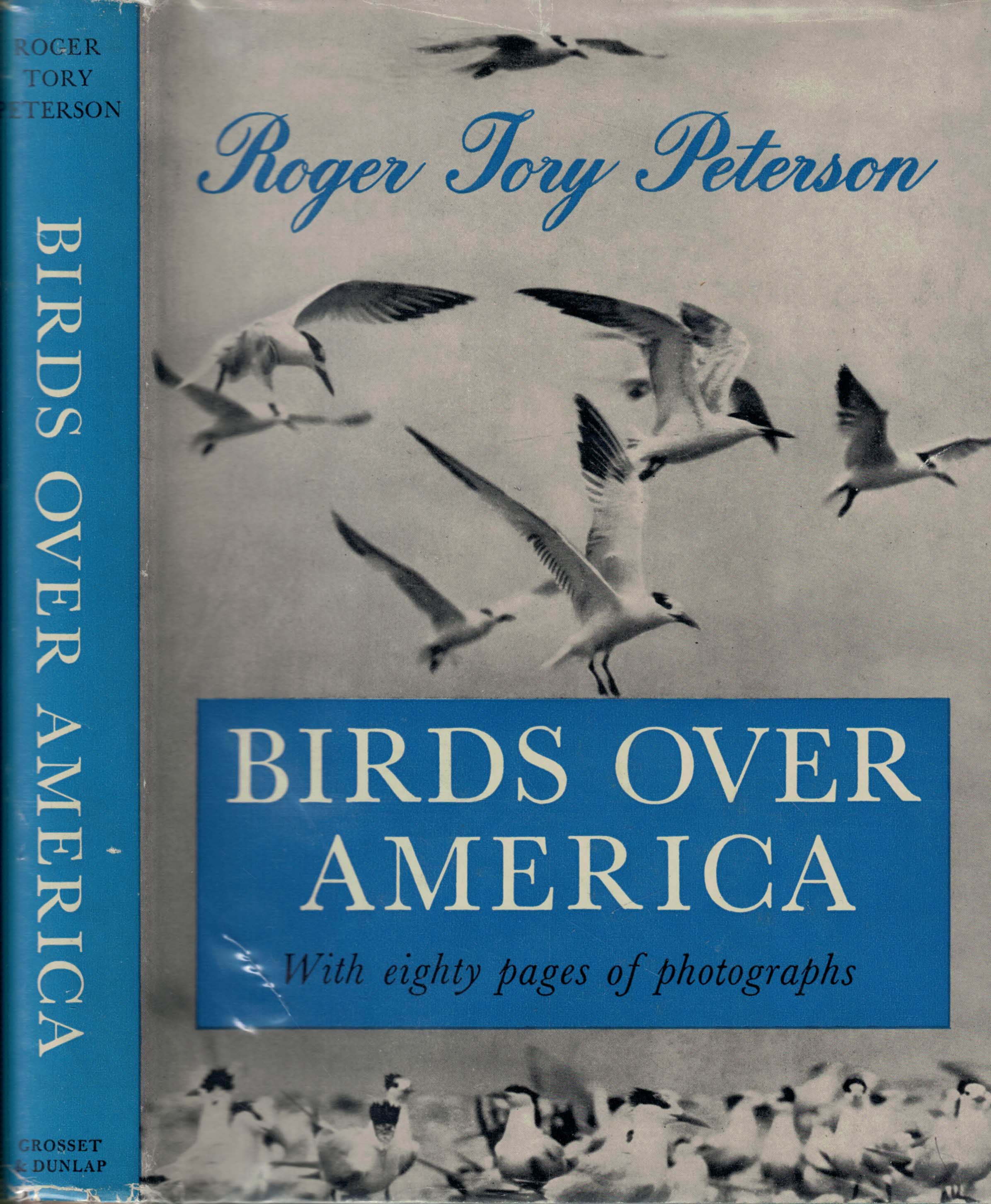 Birds Over America