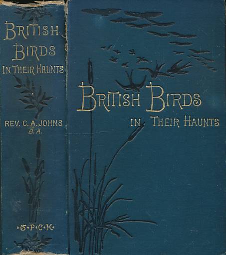 JOHNS, C A; WOLF; WHYMPER [ILLUS.] - British Birds in Their Haunts. 1888