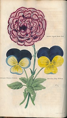 The Floricultural Cabinet and Florist's Magazine, Volume III. January - December, 1835.
