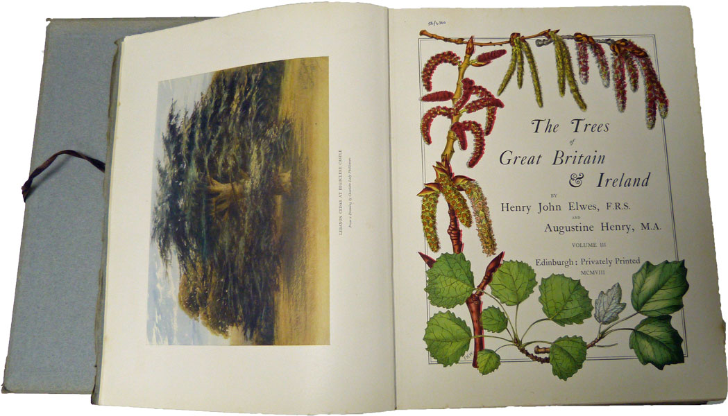 The Trees of Great Britain & Ireland. Seven Volume Set