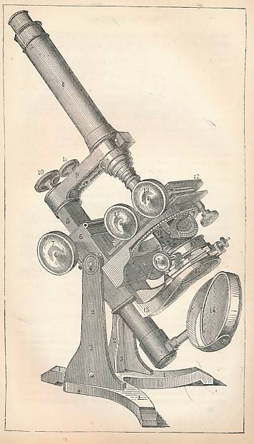 The Microscope. From "The Museum of Science and Art".