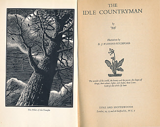 The Idle Countryman