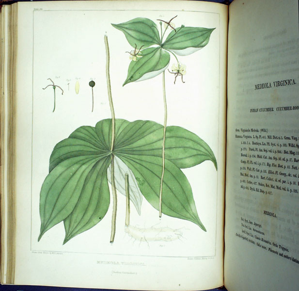 Vegetable Materia Medica of the United States; or Medical Botany: Containing A Botanical, General, and Medical History, of Medicinal Plants Indigenous to the United States. 2 volume set.