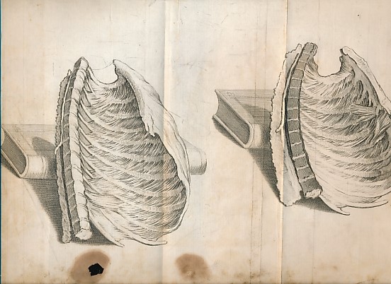 Three Lectures on the Organs of Respiration. Read at the Royal College of Physicians at London, A.D. MDCCXXXVII. Being the Gulstonian Lectures for That Year.