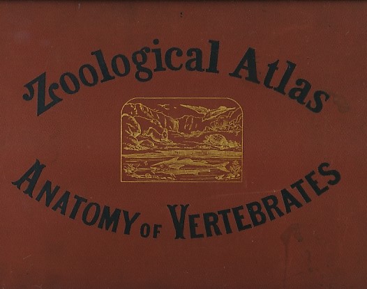 Zoological Atlas [Including Comparative Anatomy] With Practical Directions and Explanatory Text for the Use of Students. Vertebrata.