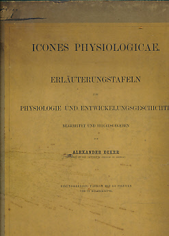 Icones Physiologicae. Erluterungstafeln zur Physiologie und Entwickelungsgeschichte