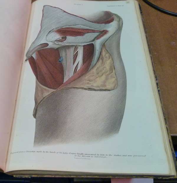A System of Anatomical Plates of the Human Body, Accompanied with Descriptions, and Physiological, Pathological, and Surgical Observations.